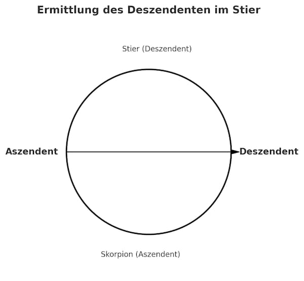 Berechnung des Deszendent Stier