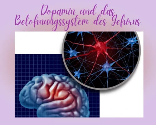 Dopamin und das Belohnungssystem des Gehirns