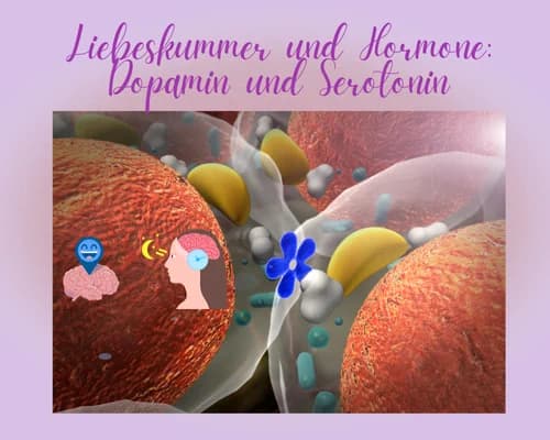 Liebeskummer und Hormone: Die Rolle von Dopamin und Serotonin im Gefühlschaos